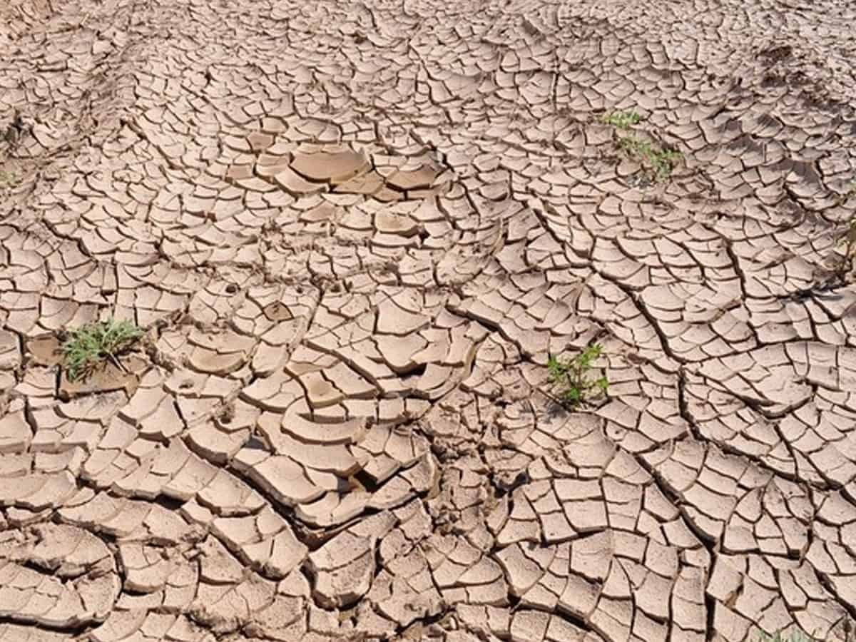 Over 1.51 million people affected due to drought in China