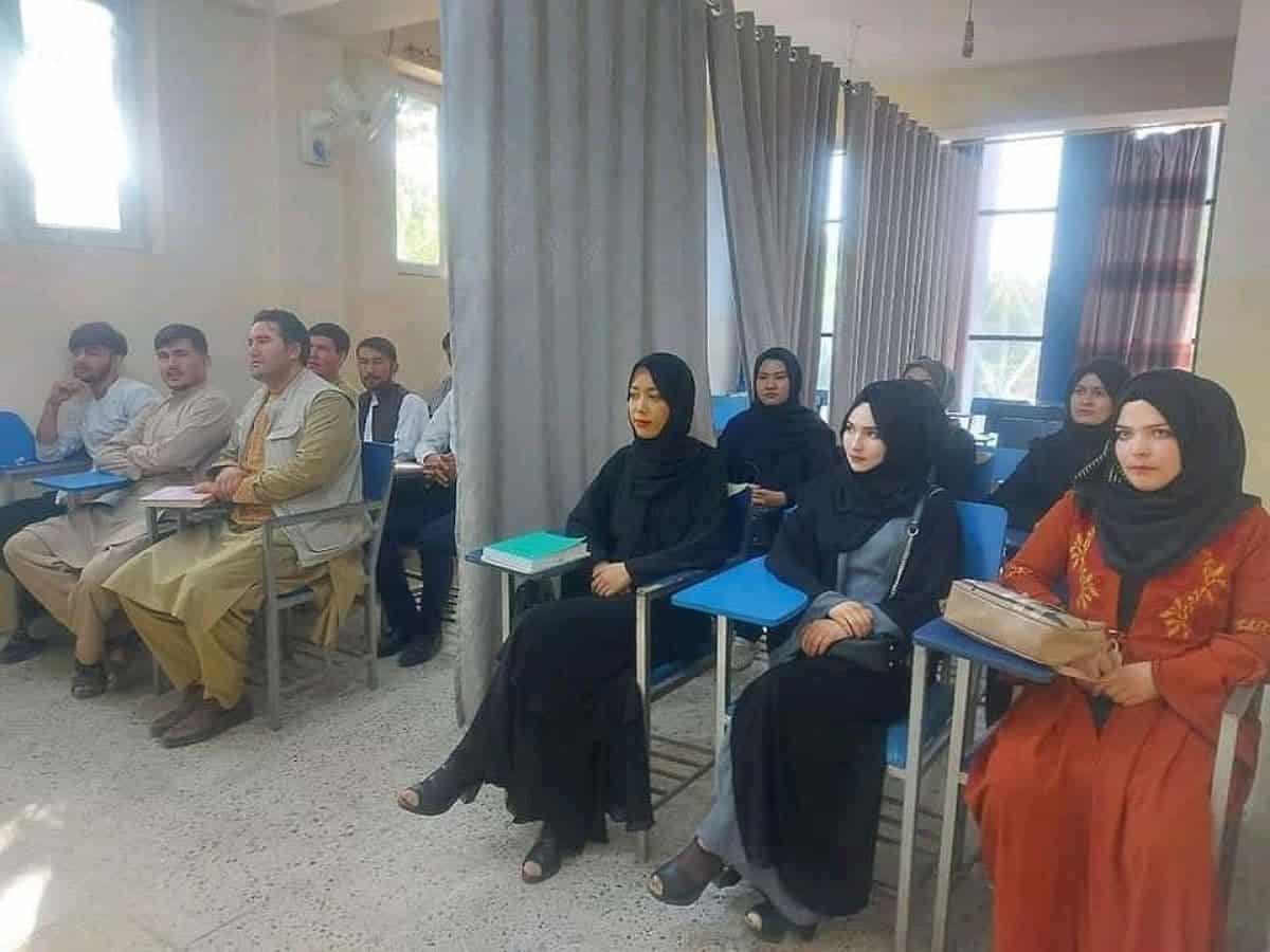 Afghanistan: University classes resumes with curtains between male and female students