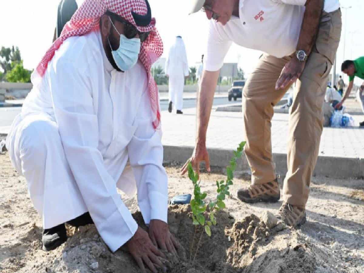 Kuwait launches tree-planting campaign to address climate challenges