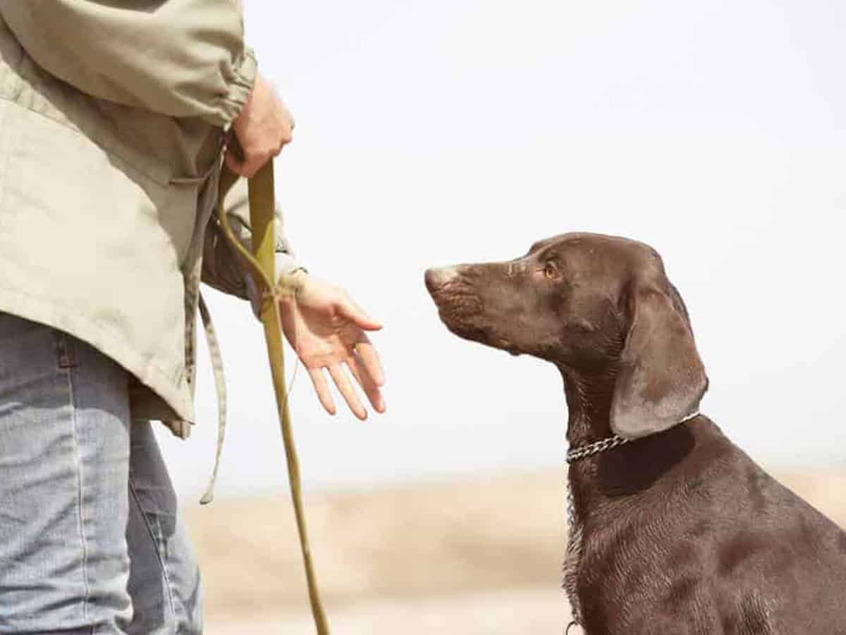 West Bengal Police to set up dog squads in all districts
