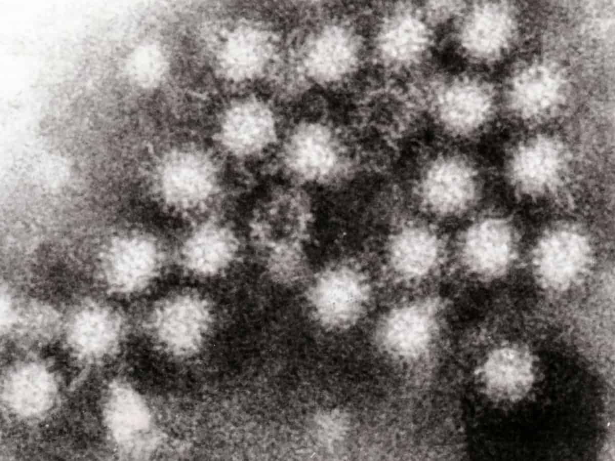 Norovirus outbreak in Kerala: Karnataka on high alert