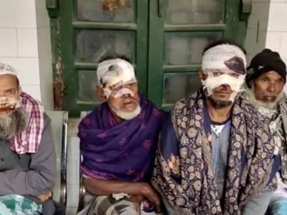 Jackal attacks farmers in Bihar's Katihar, 38 injured