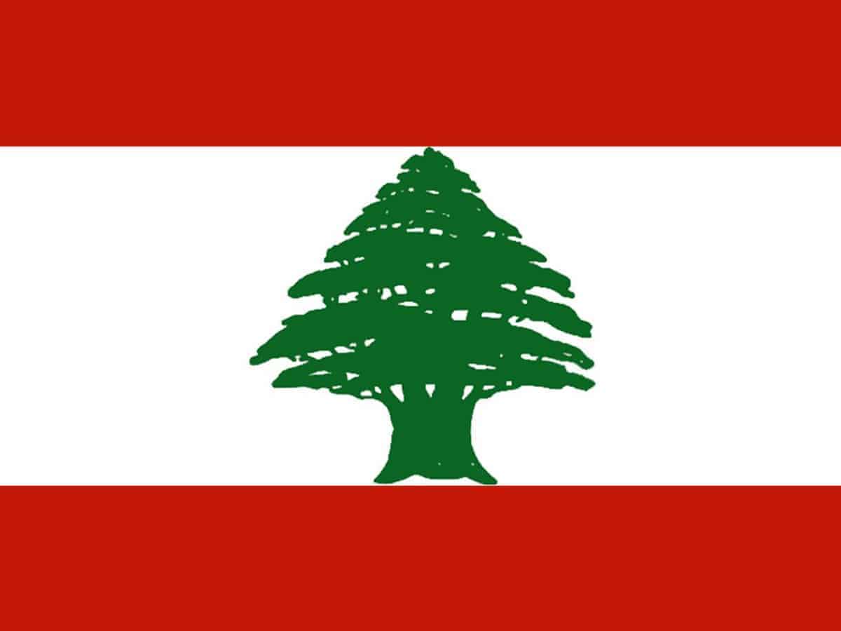 Lebanon support group gravely concerned no President elected for 4 months