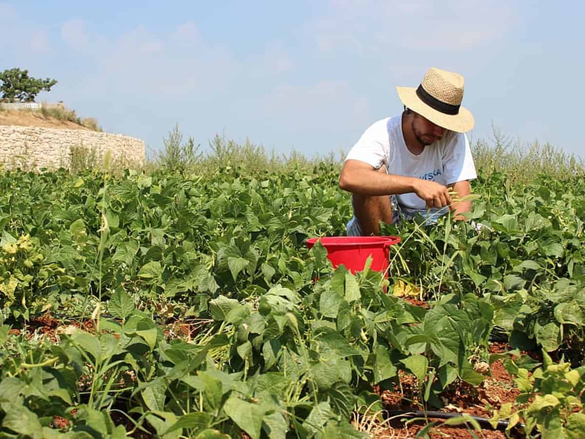 Gardening, cycling may help 'fight off' genetic risk of Type 2 diabetes